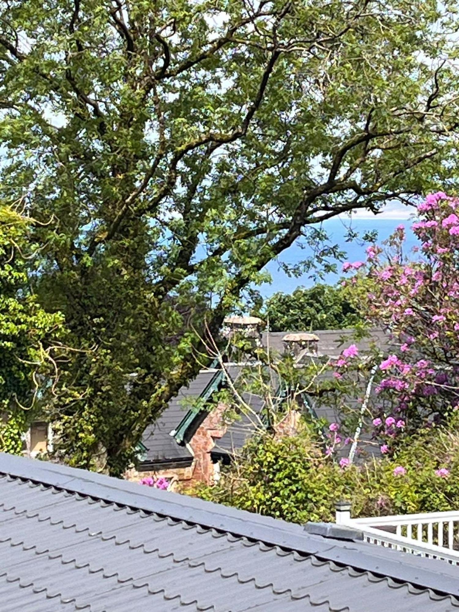 Bucks MillsOcean View At Glade公寓 外观 照片